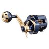 Daiwa 21 Салтига ИК 100