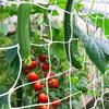 Trellis Netting, Heavy-Duty Garden Plant Trellis Netting for Climbing Plants, Outdoor Indoor Grow Net for Beans Tomatoes Peas Pumpkin Flowers