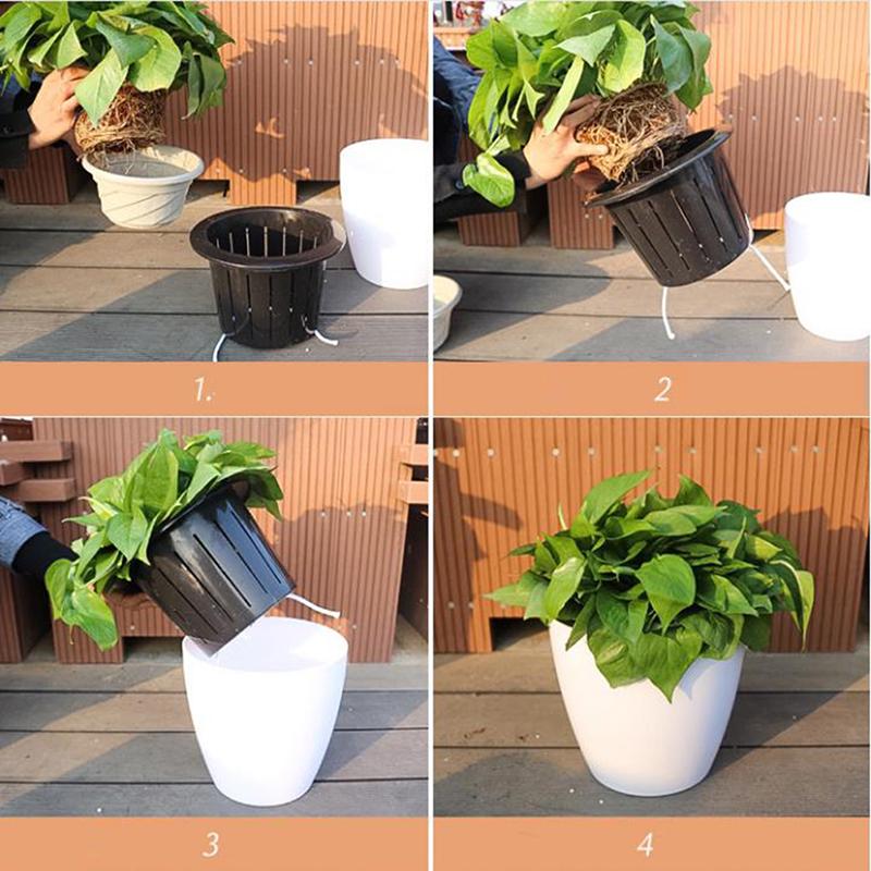 Automatic Water-Absorbing Succulent Flower Pot Hydroponic Basin Fleshy Flowerpot