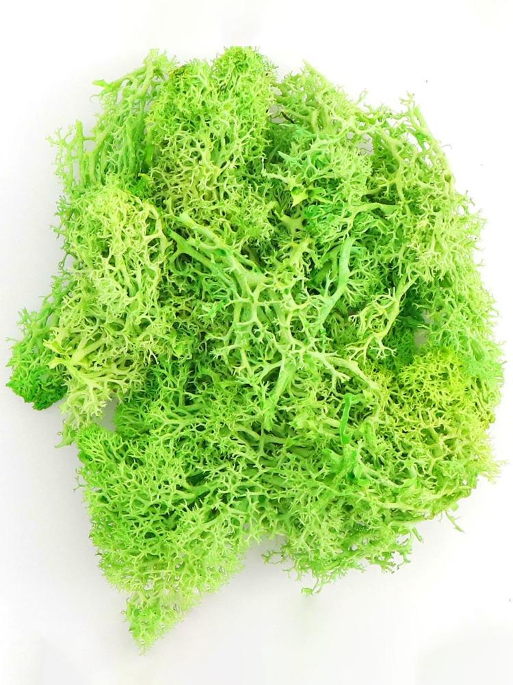 20 г Искусственный Бессмертный Мох Зеленый Искусственное Растение для Дома Сада Гостиная Озеленение Декор Наполнитель Стены Цветочное Растение Искусственный Мох