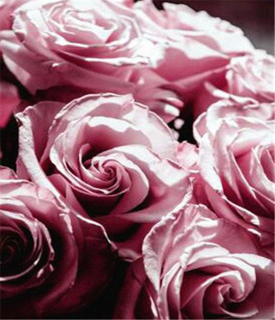 RUOPOTY DIY Frame Oil Painting By Numbers Flower Unique Gift On Canvas Wall Art Picture By Numbers For Living Room