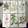 The Essential Oils Healing Deck 52 Cards To Enhance Body, Mind & Spirit 11*6cm