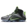 LeBron 12 Dunk Force 684593-001