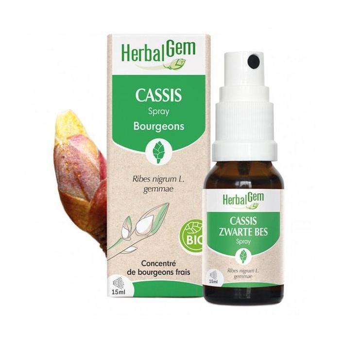 Herbalgem Спрей Черная смородина Био 15 мл