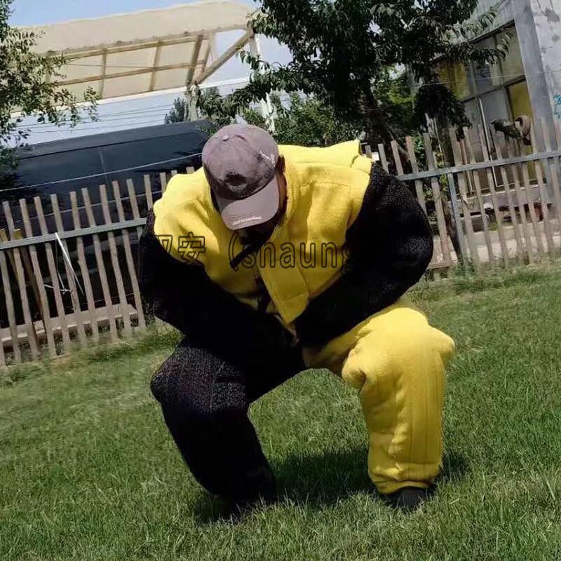 Chu Rong Professional Dog Training Bite Suit