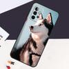 Siberian Husky Sled Dog Case For Samsung Galaxy A05 A06 A26 A16 A56 A36 A22 A32 A52 A54 A34 A14 A55 A15 A53 A33 A35