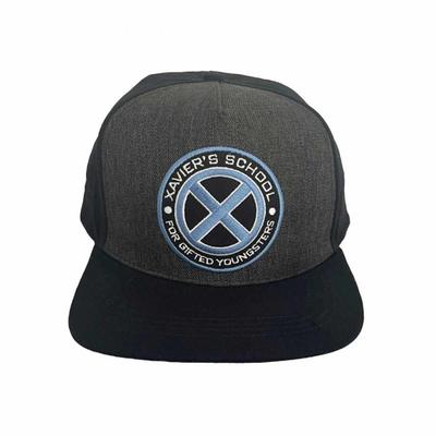 Marvel Comics Унисекс для взрослых X-Men - бейсболка с логотипом Xavier Snapback