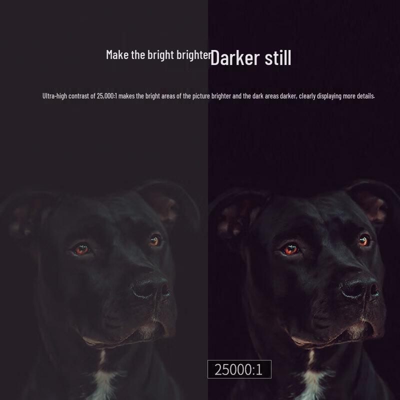 Optoma JEF9130 1080P 3D Projector (CN version)