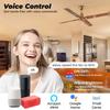 Melery Tuya Wifi Smart Ceiling Fan Speed Switch EU 220V Mini Wall On Off Module Remote Electric Control For Alexa Google Home