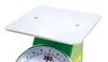 Shinwa Sokutei Flat Plate Automatic Scale 70128 for 200g~1kg