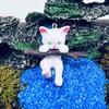 1 Набор Украшение для аквариума Изысканная мини-статуэтка кошки Орнамент с маленьким плавающим шариком Аксессуары для аквариума