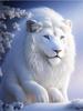 Алмазная живопись Новые поступления Белоснежный лев Diy Полный квадратный круглый дрель Стразы Вышивка Зимний пейзаж Животные Мозаика Наборы для вышивки крестом