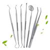 Stainless Steel Dentist Oral Tools Cleaning Flossing Tartar Removal Easy To Clean Not Easy To Break Dental Oral Mirror Care Kit