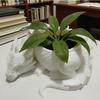 3D Printed Dragon Shaped Plant Pot Growing Pots Plastic Flower Container Funny Handmade Succulent Planter for Living Room