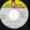 7-дюймовая пластинка STRANGER COLE Pretty Cottage Версия Chris Squidl 1969 Reggae Ska Dub