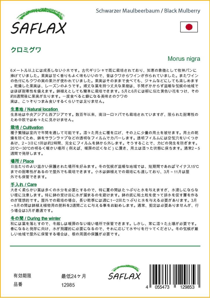 SAFLAX Подарочный набор - Черная шелковица - 200 семян - С подарочной коробкой, карточкой, этикеткой и субстратом для горшков - Morus nigra