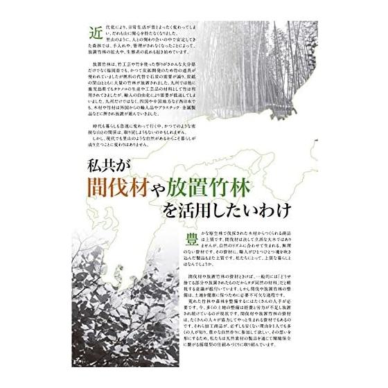 Yamashita Kogei Сделано в Японии Подставка для палочек для еды Корень лотоса Акцент для столовых приборов из натурального бамбука
