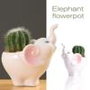Cute Elephant Flower Pots For Succulents Planters Mini Potted Plants Desktop Ornaments Home Garden Decoration