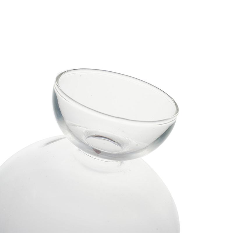 1PC Avocado Seed Starter Vase Transparent Glass Vase Vase For Growing Plant Glass Seed Growing Kit For Gardening Lovers