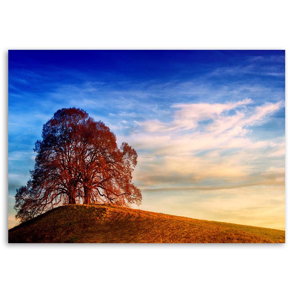 Canvas print, Tree on a hill landscape