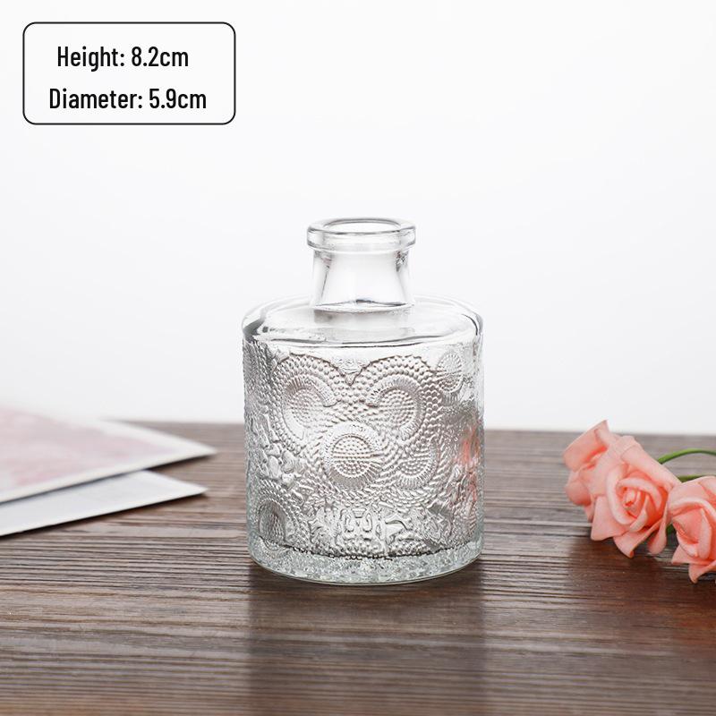Small French Retro Glass Hydroponic Vase for Home Decor