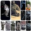 Gray Cat Phone Case For iPhone Samsung Galaxy Redmi Xiaomi Oppo OnePlus Note S A 7 8 9 10 11 12 13 14 20 21 22 23 53 54 Pro Max Plus Ultra TPU Soft