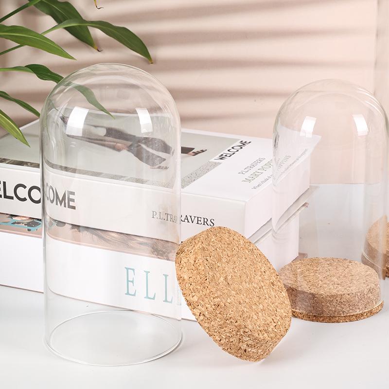 Ins Style Preserved Flower Glass Dome with Cork Base - Creative Dustproof Display Ornament