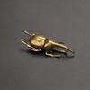 Solid Brass Simulation Insect Small Sculpture Creative Japanese Rhinoceros Beetle Insect Animal Ornament Home Decor Crafts