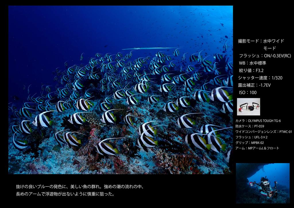 Цифровая камера OM Tough Black 12 мегапикселей CMOS Водонепроницаемость 15 м Грузоподъемность 100 кгс GPS СИСТЕМА/OLYMPUS TG-6 F2.0 Встроенный Wi-Fi TG-6BLK