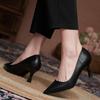 Spring and Autumn New Pointed High Heels Stiletto Work Shoes Professional Single Shoes Commuting Versatile Women's Shoes