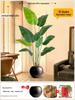 Искусственное дерево Стрелиция - Роскошная зелень для декора гостиной