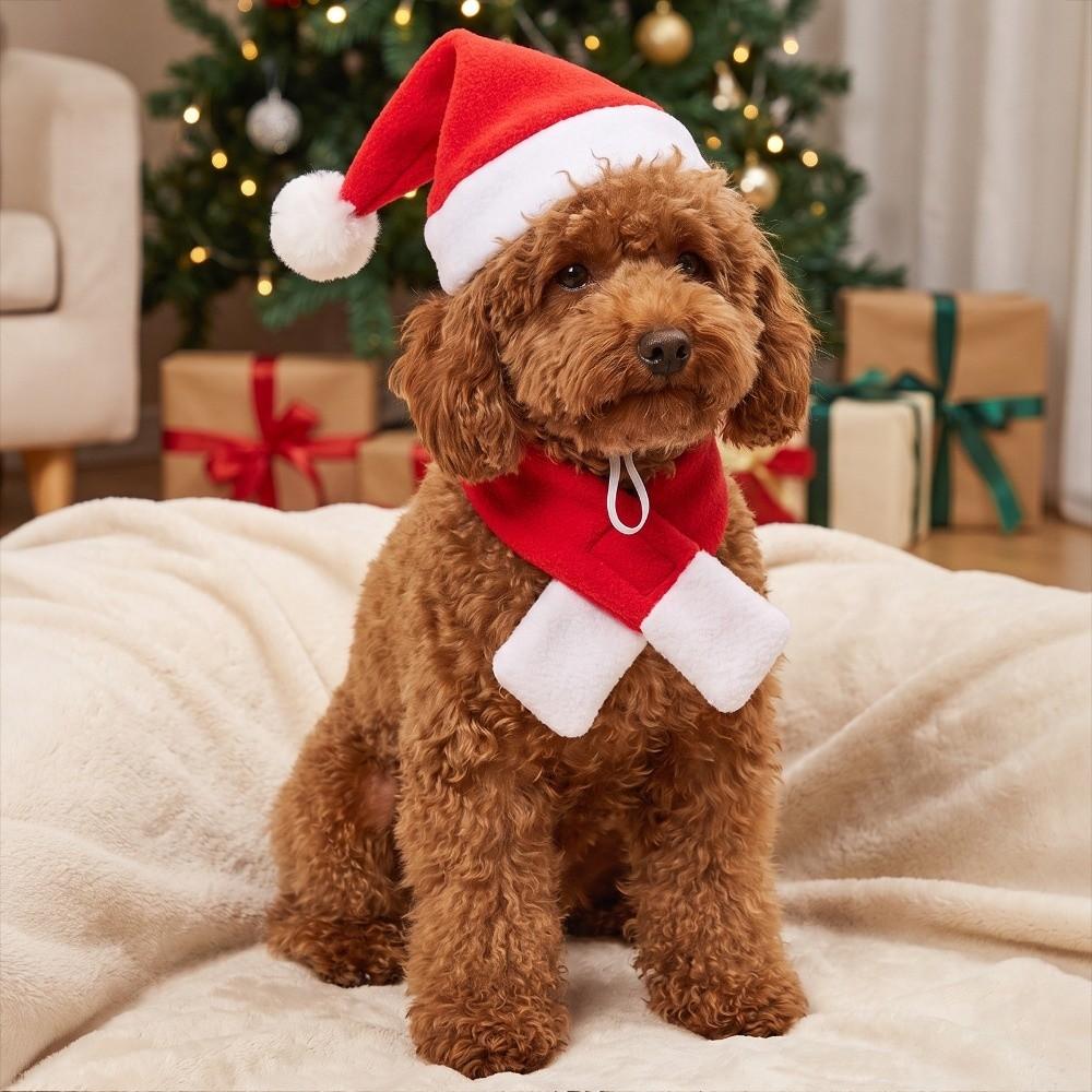 Reusable Dogs Cat Santa Hat Kit Comfortable To Wear Dogs Cats Cosplay Hat Christmas Party
