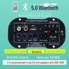 Universal High-Power Bluetooth Amplifier Board for Home & Car with Built-in Speaker and Heavy Bass Support (12V/24V/220V)