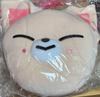[USED] StrayKidsSKZOO The VICTORY Cushion