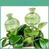 Plant Globes Selfwatering 2pack Effortless Cactus Succulent Care Durable Glass Watering Devices For Indoor Outdoor Plants