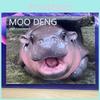 2025 Moo Deng Календарь Современный Настенный Календарь С Гиппопотамом И Веселыми Анимированными Наклейками Для Всех Случаев