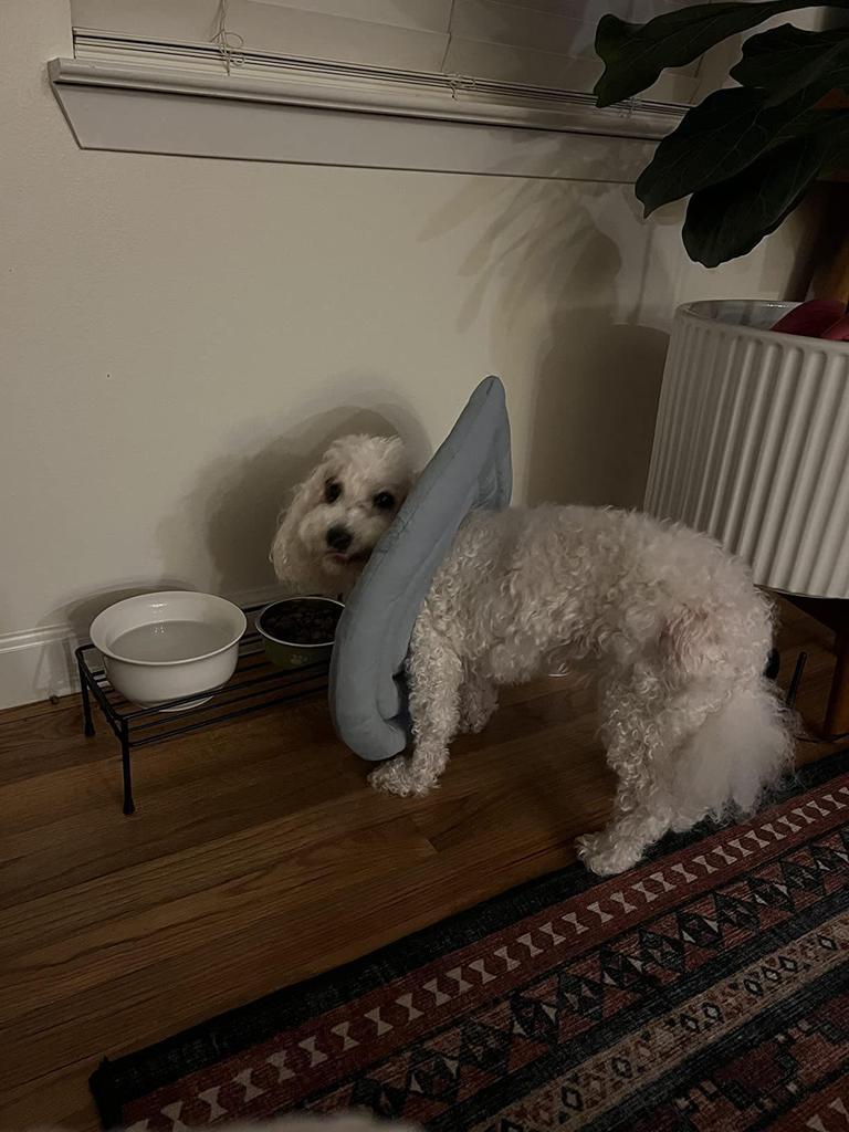 Waterproof Recovery Collar for Cats & Dogs: Anti-Licking Neck Cone, Enlarged & Deepened for Large Pets.