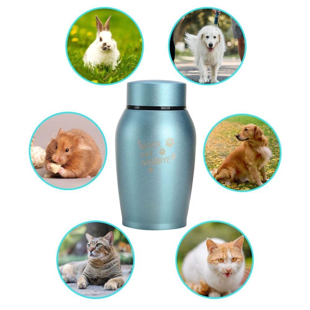 Урна из нержавеющей стали для праха питомцев Отпечаток лапы питомца Собака Кошка Кремационные урны Настольное украшение