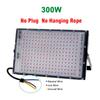 Full Spectrum LED Grow Light Phyto Lamp AC 220V 50W 100W 200W 300W With EU Plug For Greenhouse Hydroponic Plant Growth Lighting