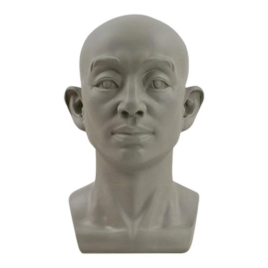 Generic Planar Head Model for Drawing Resin Skull Sculpture with Detailed Muscle Structure Art Study Tool for Sketching Anatomy Learning