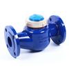 Ludao Flanged Wet Type Mechanical Water Meter (CN version)