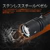 ACEBEAM Defender P16 Tactical 1800 484 Meter Dual Tail IP68 Drop Compact and Powerful LED Ideal for Assault Outdoor Repair and More HI Light, Lumens,