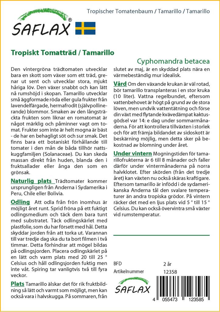 SAFLAX Тамарилло - 50 семян - С горшечным субстратом для лучшего выращивания - Cyphomandra betacea
