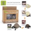 Montessori Animal & Plant Growth Cycle Teaching Toys for Kids