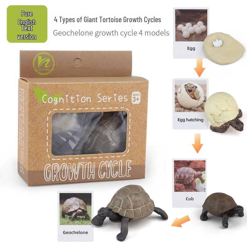 Montessori Animal & Plant Growth Cycle Teaching Toys for Kids