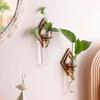 Wall Planter for Indoors Clear Planters with Wooden Hollow Stand Plastic Test Tubes Vertical Propagation Station for Hydroponics Air Plants