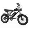 Ridstar Q20 Electric Bike, 1000W Brushless Motor, 20*4 Inch Fat Tires, 48V 20Ah Removable Battery, 30mph Max Speed