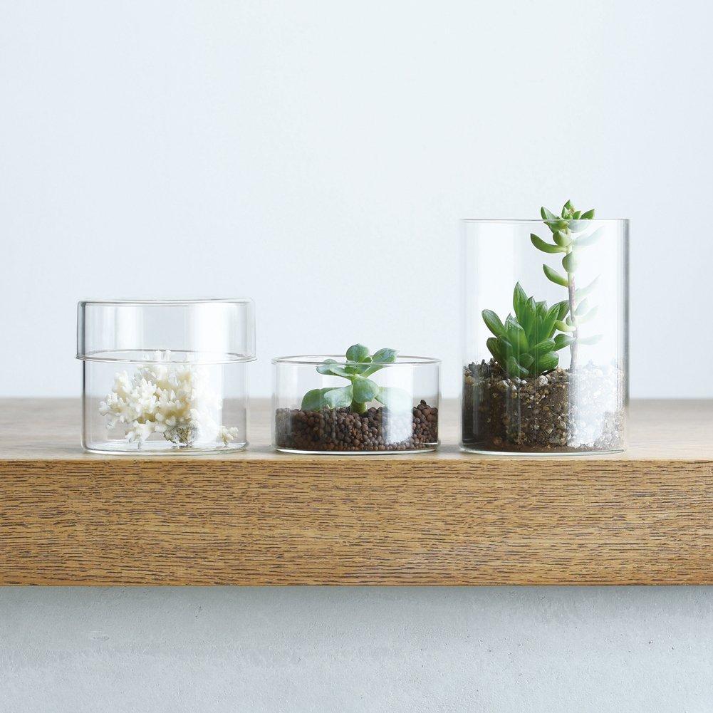 KINTO SCHALE Glass 25762 Case, 100x85mm, Clear,