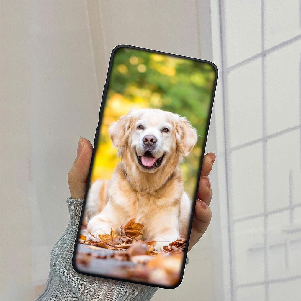 Golden Retriever Dog Cover Phone Case for Xiaomi Redmi Note 9 8 11 Pro 4G 5G 9S 11S 9A 9C NFC 9T 8A Funda Soft Casing