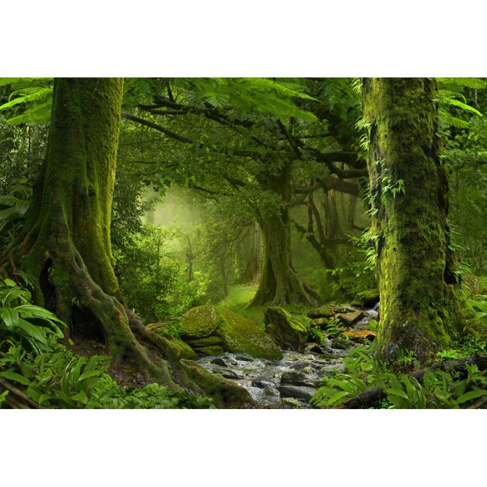 Spring Forest Backdrop Tropical Jungle Rainforest Backdrops for Photography Camping Adventure Birthday Background Photo Studio
